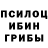 Псилоцибиновые грибы Psilocybe Ninel Kardash