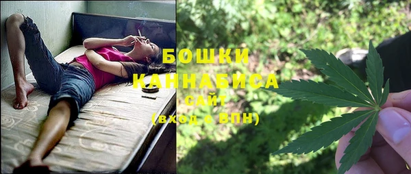 гидра Костерёво