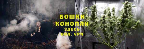 экстази Заводоуковск