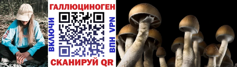 Галлюциногенные грибы прущие грибы  Омск 